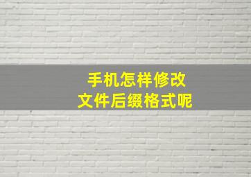 手机怎样修改文件后缀格式呢