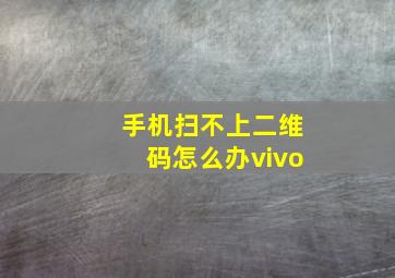 手机扫不上二维码怎么办vivo