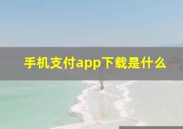 手机支付app下载是什么