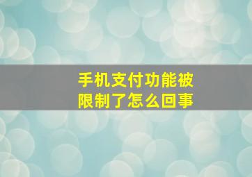 手机支付功能被限制了怎么回事