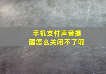 手机支付声音提醒怎么关闭不了呢