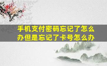 手机支付密码忘记了怎么办但是忘记了卡号怎么办