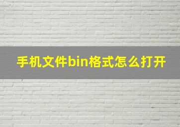 手机文件bin格式怎么打开