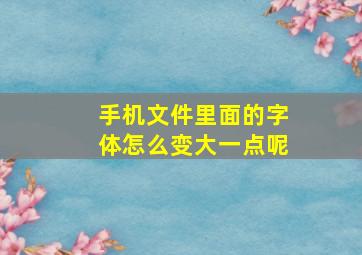 手机文件里面的字体怎么变大一点呢