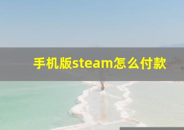 手机版steam怎么付款