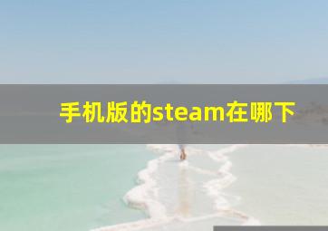 手机版的steam在哪下