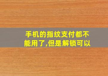 手机的指纹支付都不能用了,但是解锁可以