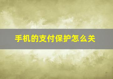 手机的支付保护怎么关