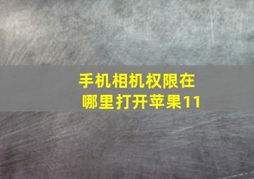 手机相机权限在哪里打开苹果11