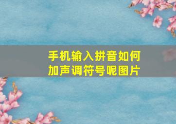 手机输入拼音如何加声调符号呢图片