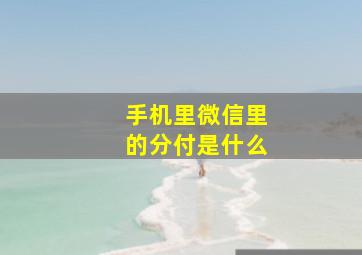 手机里微信里的分付是什么