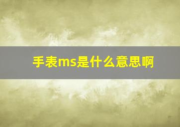 手表ms是什么意思啊