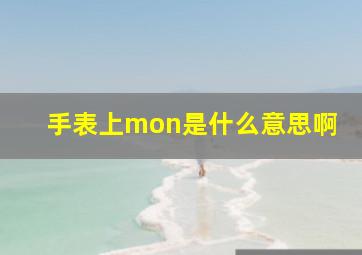 手表上mon是什么意思啊