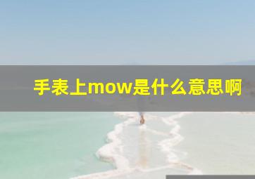 手表上mow是什么意思啊