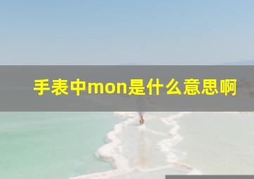 手表中mon是什么意思啊