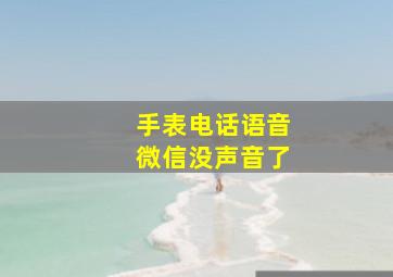 手表电话语音微信没声音了