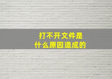 打不开文件是什么原因造成的