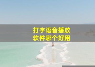 打字语音播放软件哪个好用