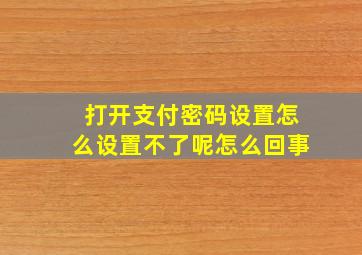 打开支付密码设置怎么设置不了呢怎么回事