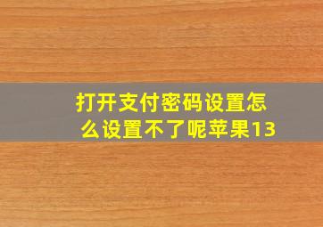 打开支付密码设置怎么设置不了呢苹果13