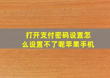 打开支付密码设置怎么设置不了呢苹果手机