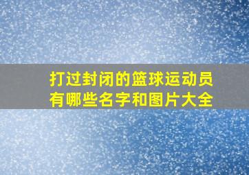 打过封闭的篮球运动员有哪些名字和图片大全