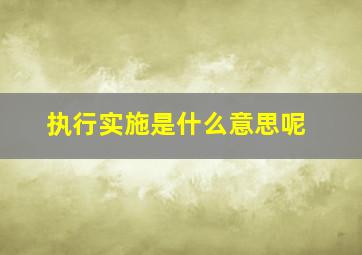 执行实施是什么意思呢