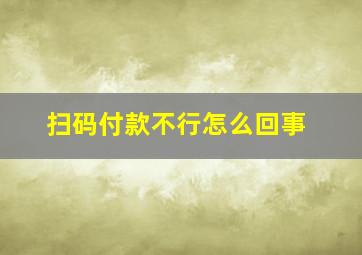 扫码付款不行怎么回事