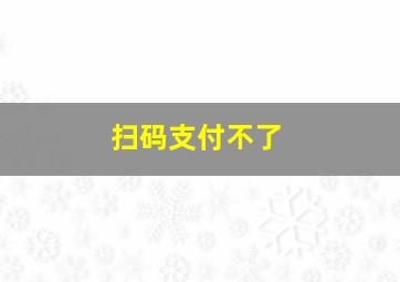 扫码支付不了