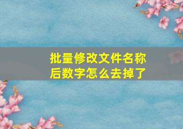 批量修改文件名称后数字怎么去掉了