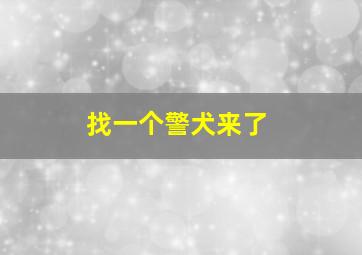 找一个警犬来了