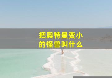 把奥特曼变小的怪兽叫什么