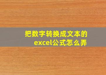 把数字转换成文本的excel公式怎么弄