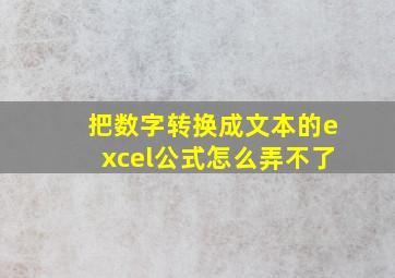 把数字转换成文本的excel公式怎么弄不了