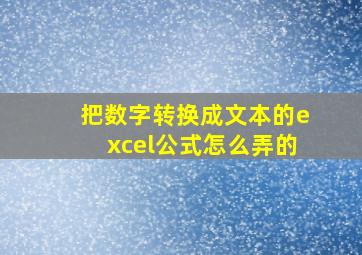 把数字转换成文本的excel公式怎么弄的