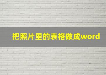 把照片里的表格做成word