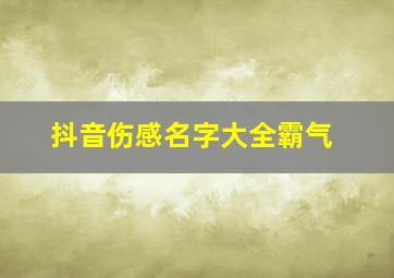 抖音伤感名字大全霸气