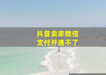 抖音卖家微信支付开通不了