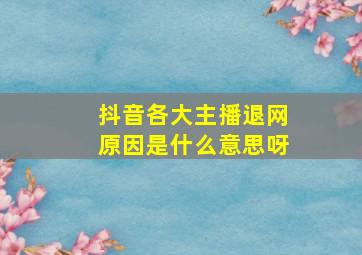 抖音各大主播退网原因是什么意思呀