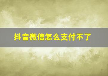 抖音微信怎么支付不了