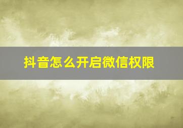 抖音怎么开启微信权限