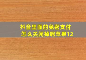 抖音里面的免密支付怎么关闭掉呢苹果12