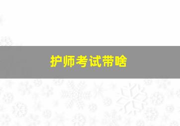 护师考试带啥