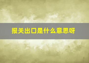 报关出口是什么意思呀