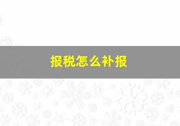 报税怎么补报