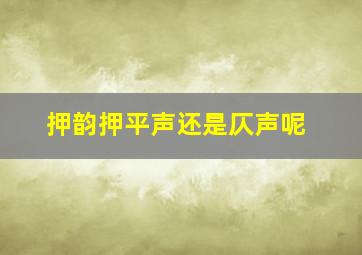 押韵押平声还是仄声呢