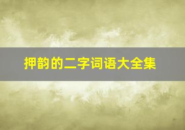 押韵的二字词语大全集