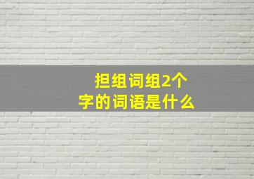 担组词组2个字的词语是什么