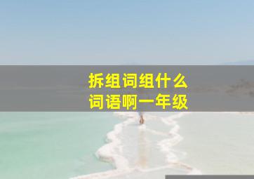 拆组词组什么词语啊一年级