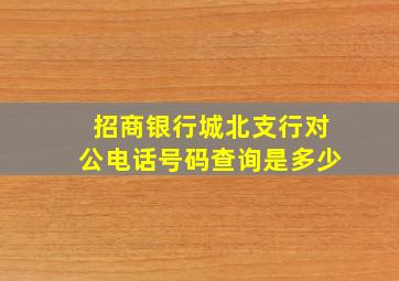 招商银行城北支行对公电话号码查询是多少